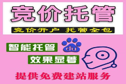百度推广托管服务案例解析
